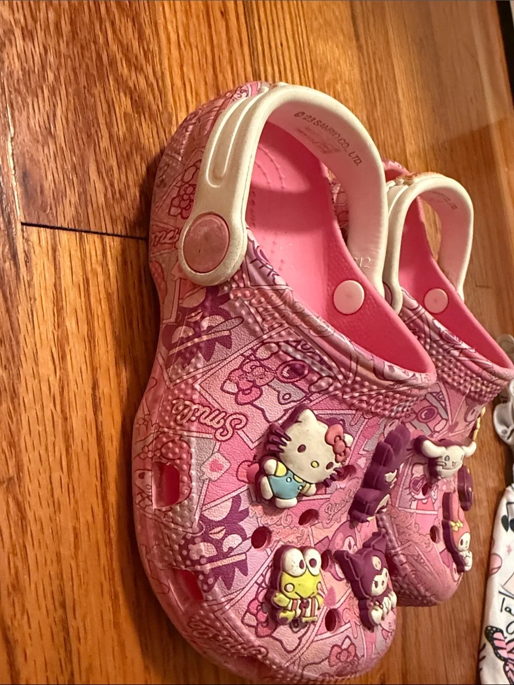 CROCS Kids Pink Character Slip-On Clogs with Backstrap